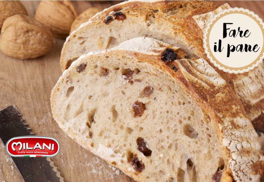 Pane con le noci e l’uvetta: la ricetta per farlo a casa